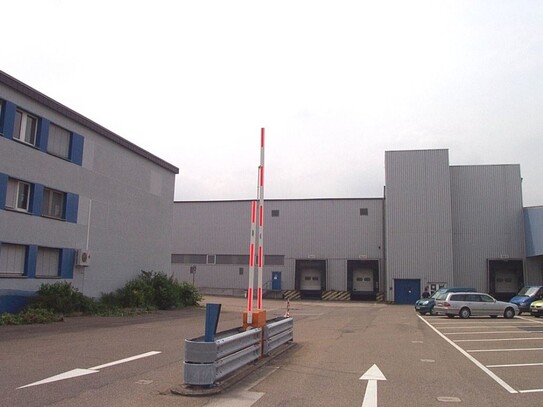 Lagerhalle 2700 m² mit 2 Toren und Büro 200 m² in Ludwigshafen (auch Teilflächen ab 900 m²)