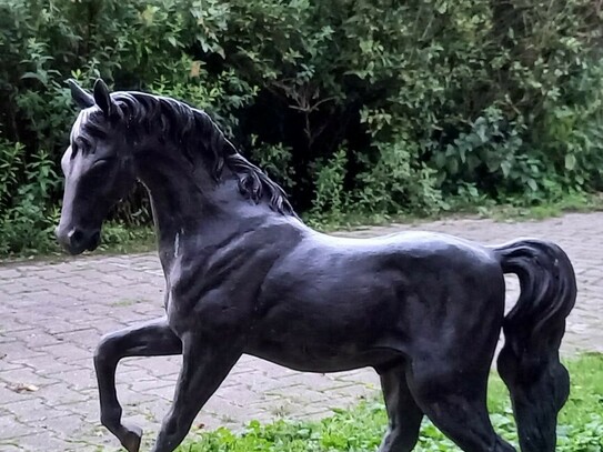 Wunderschöner Pferdehof in ruhiger, entspannter Lage