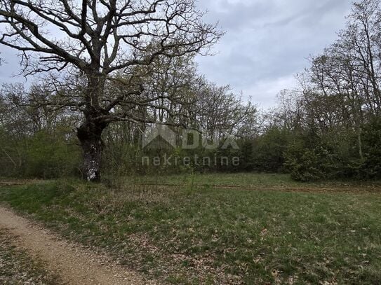 ISTRIEN, KANFANAR - Geräumiges landwirtschaftliches Land von 17,5 Hektar