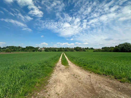 Landwirtschaftliches Grundstück am Ortsrand von Günding (Gde. Bergkirchen) zu verkaufen!