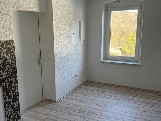 Greiz, sanierte, herrliche Singlewohnung mit Fußbodenheizung, in Greiz/Rothental