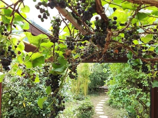 Sonniges Reihenhaus für Jung und Alt mit Terrasse, Garten, Keller.