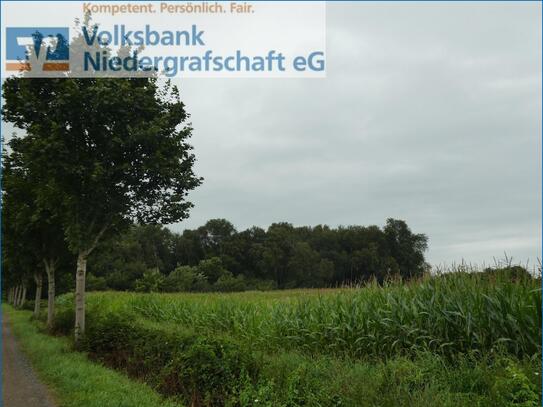 #reserviert#Waldfläche in Georgsdorf