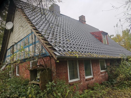 Idyllische Lage direkt hinterm Elbdeich