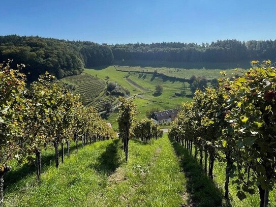 Einzigartiges Objekt zwischen Stuttgart und Heilbronn