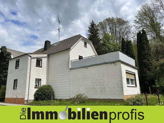 1228 - 9 km von Hof: Haus mit Scheune und ca. 1.600 m² Grundstück