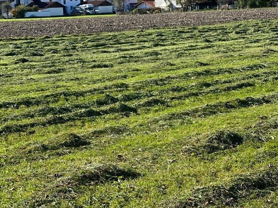 Grundstück in idyllischer Lage direkt am Baugebiet – Eine Investition mit Zukunft