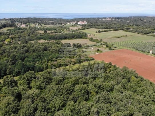 Großes Agrarland in der Nähe von Umag