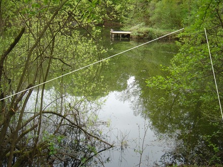 MFImmobilien.com - Wochenendgrundstück / Freizeitgrundstück mit See in Mühlheim am Main