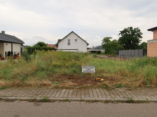 Bauplatz TOP Lage für Ihr Traumhaus v. PRIVAT in Haßloch