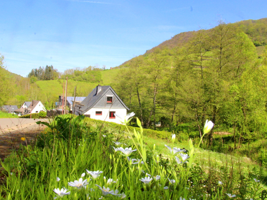 Tolles BAUGRUNDSTÜCK für EFH oder MFH für Naturbegeisterte