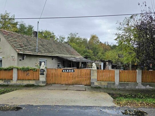 Einfamilienhaus mit großem Grundstück und Wald in der Nähe des Plattensees