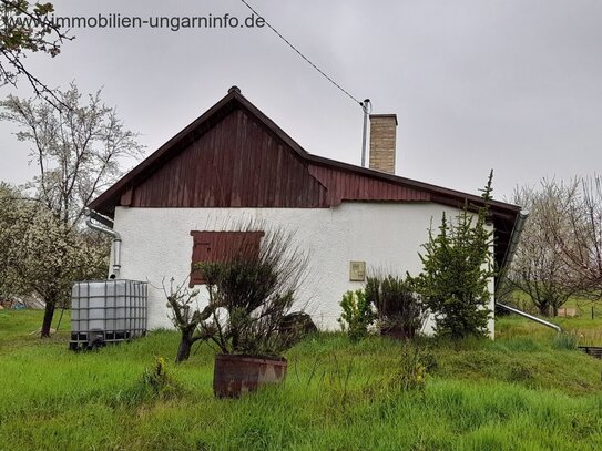 Zala county Keller/Ferienhaus zu verkaufen