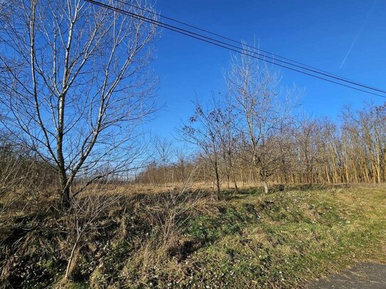 0,5 Hektar bewaldetes Gebiet in einem kleinen Dorf in der Nähe des Plattensees zu verkaufen