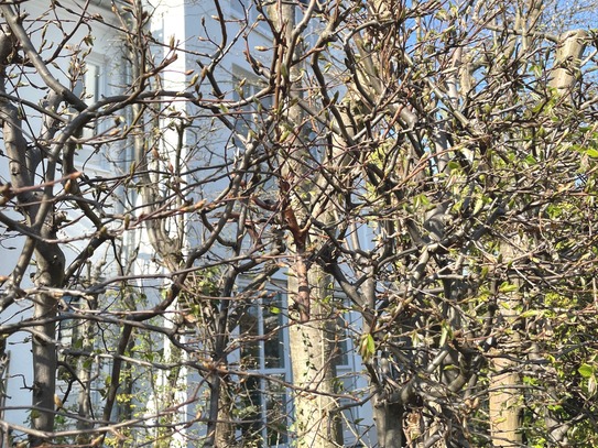 Attraktive Gartenwohnung in ruhiger, zentraler Lage – Ihr persönlicher Rückzugsort!
