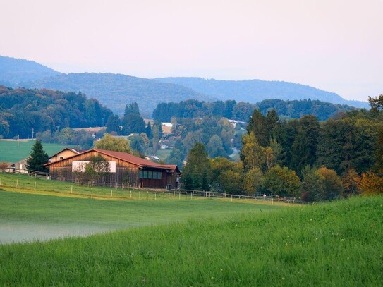 Wunderschöner kleiner Pferdehof mit Reithalle