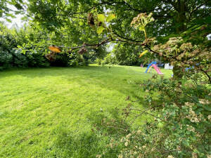 Menden-Bösperde: Tolles Bauland mit Super-Aussicht, umzingelt von viel Grün!