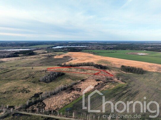 Grünland (ca. 3,7 ha) bei Lauchhammer