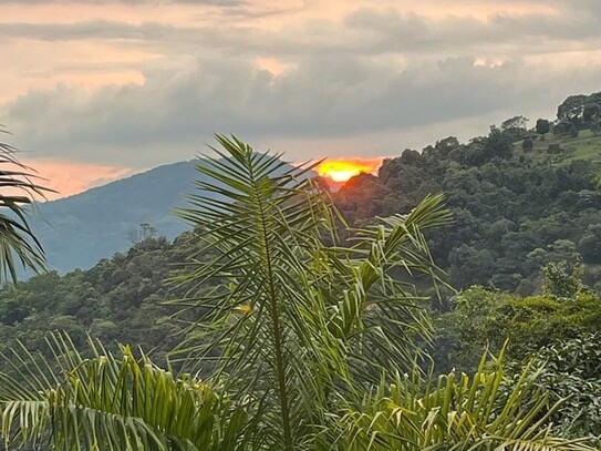 Finca in Kolumbien