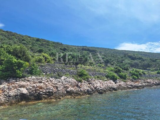 Cres – ein wunderschöner Olivenhain, erste Reihe zum Meer