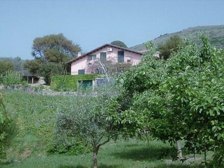 Grosszügiges Landhaus, Weinberg, Bosa, Sardinien