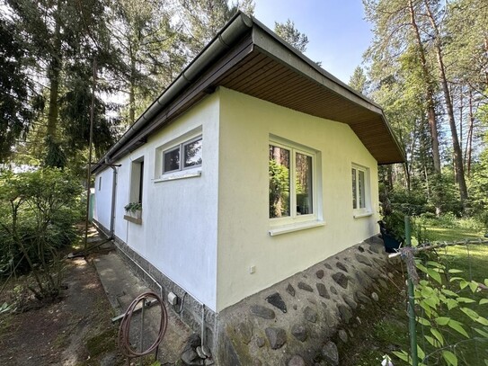 Einfamilienhaus inkl. Teilkeller (für 2 Pers.) auf großem Waldgrundstück