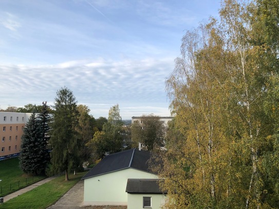 3 Raum Wohnung mit Balkon im grünen