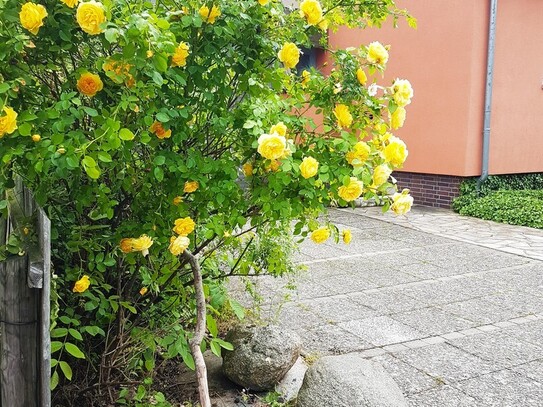 Stadtnah! Gemütliche Doppelhaushälfte mit großem naturbelassenen Garten