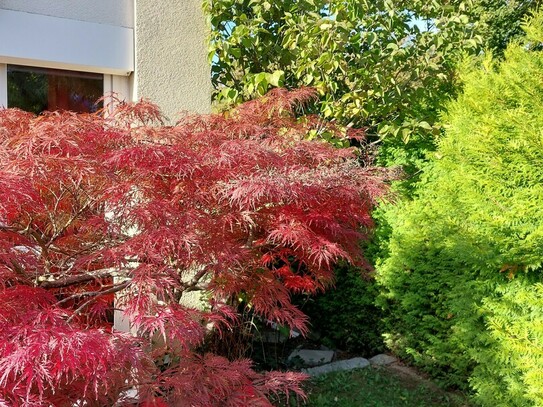 "Helles Zuhause, traumhafte GartenOase, naturnahe Stadtrandlage, hervorragende Infrastruktur"