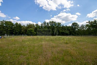 IHR TRAUM IN ZAUBERHAFTER WALDRANDLAGE