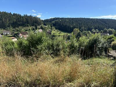 MIT SCHÖNEM BLICK INS TAL