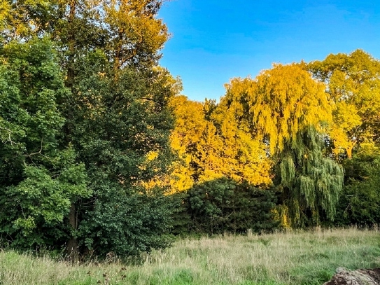 Naturnahes Leben ist gut für das Wohlbefinden!