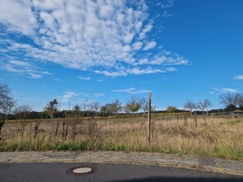 Bauplatz in wunderschöner Ortsrandlage von Stammheim bei Volkach zwischen Schweinfurt und Gerolzhofen (ID 10491)