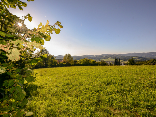 *** Neu *** Exklusiv *** Baugrundstück
ca. 660 m² in ruhiger Dorf-Randlage 
Auerbach - Landkreis Deggendorf