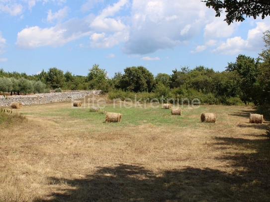 Istrien, rund um Orbanići, landwirtschaftliche Fläche, 21580m2