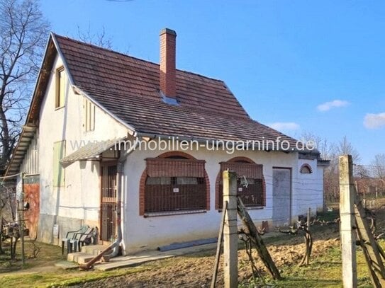 Bewohnbares Keller-/Wochenendhaus im Weinberg Marcali