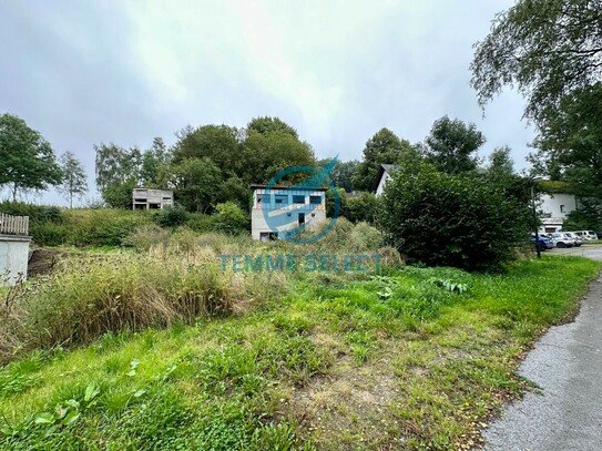 Naturnahes Baugrundstück in Sundern-Seidfeld