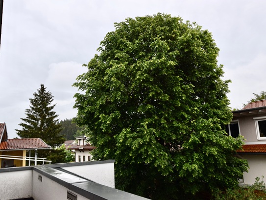 Schöne 4 Zimmer Wohnung in ruhiger zentraler Lage mitten im Zentrum von Lindenberg zu verkaufen