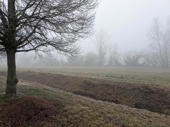 Großes Baugrundstück in Buschow - voll erschlossen