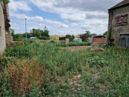 Voll erschlossenes Grundstück in Feldrandlage in Worms (Ibersheim) zu verkaufen