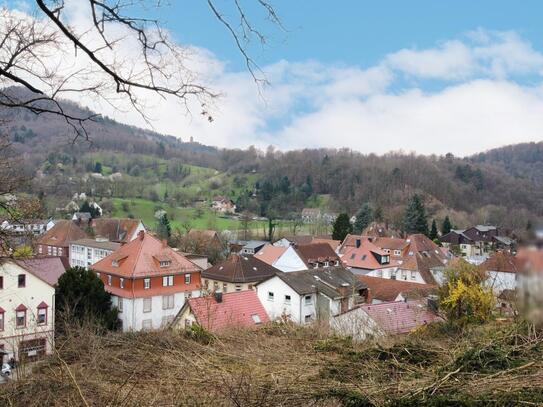 Erhaben residieren am Hang mit traumhaftem Ausblick in der Nähe von Weinheim!!!