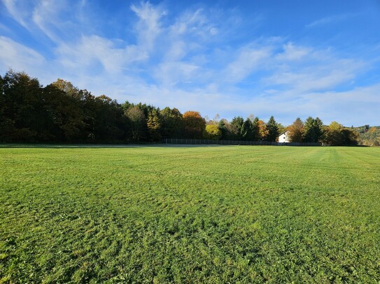 Absolute Alleinlage 26000qm Wiese Wald Wohnhaus 450qm Halle Selbstversorger nachhaltig prov.frei