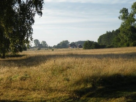 Schöne Grundstücke zwischen Ostsee und Bodden