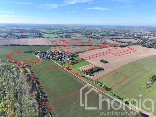 Acker, Wald und Wiese (ca. 52 ha größtenteils arrondiert) südlich von Leipzig