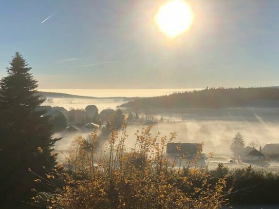 Exklusives Apartment mit Alpenblick im Hochschwarzwald