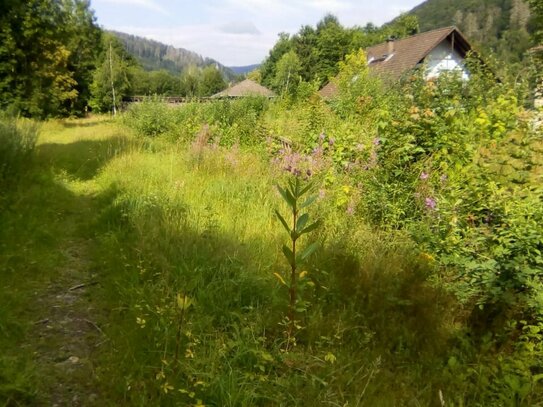 Bad Lauterberg, Grundstück