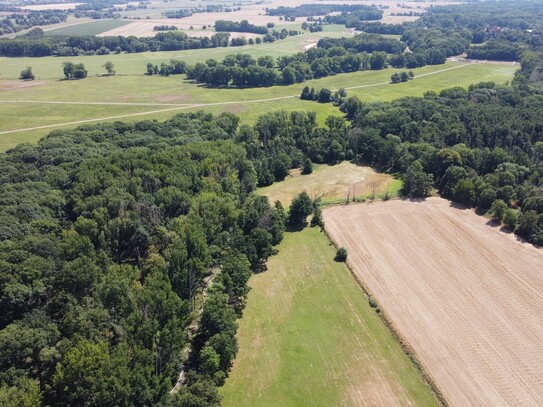 214.230 Quadratmeter Waldgrundstück und Gewässer bei Leipzig - 1,40 € /qm - Wald - Forst