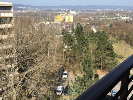 Über den Dächern von Mainz