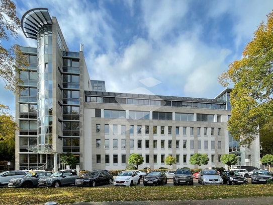 Oberkassel I provisionsfrei anmieten I hochmoderne Bürofläche