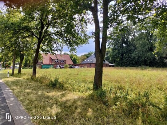 Traumhaft wohnen direkt am Waldrand in Heimsen